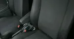Suzuki liana