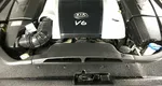 Kia quoris i
